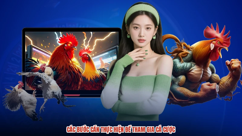 Các bước cần thực hiện để tham gia cá cược