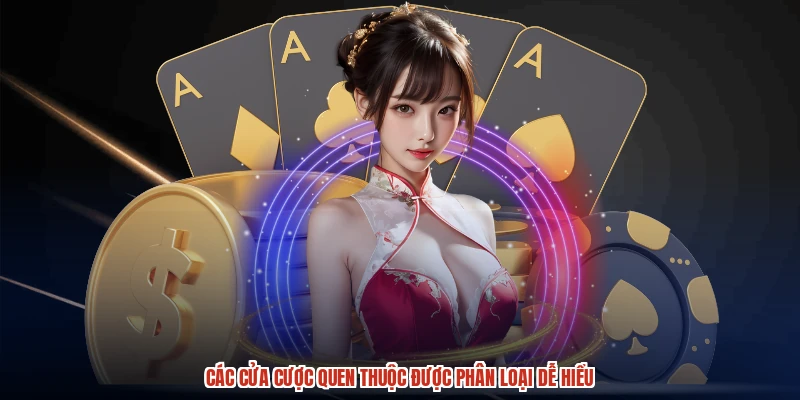 Các cửa cược quen thuộc được phân loại dễ hiểu