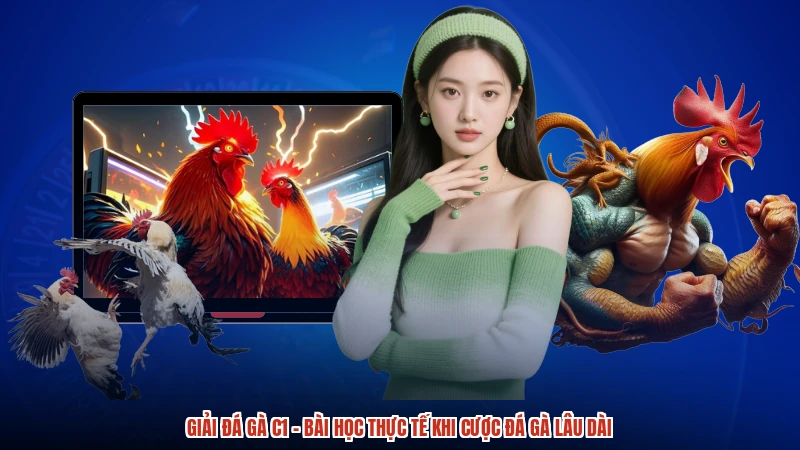 Giải đá gà C1 - Bài Học Thực Tế Khi Cược Đá Gà Lâu Dài