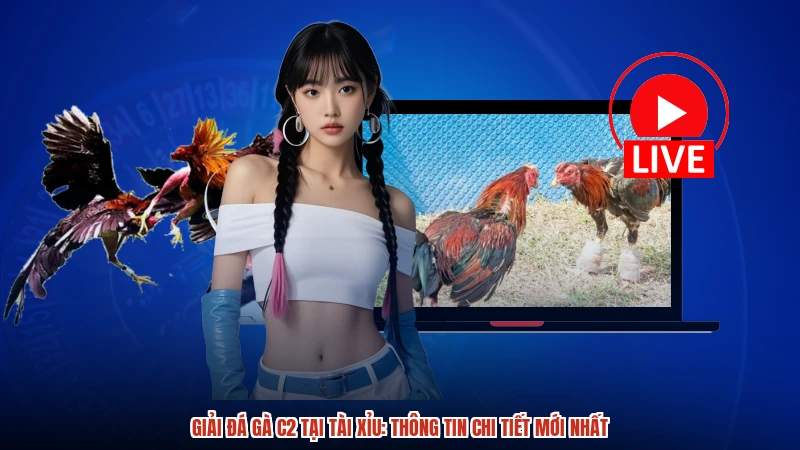 Giải đá gà C2 tại TÀI XỈU: Thông tin chi tiết mới nhất