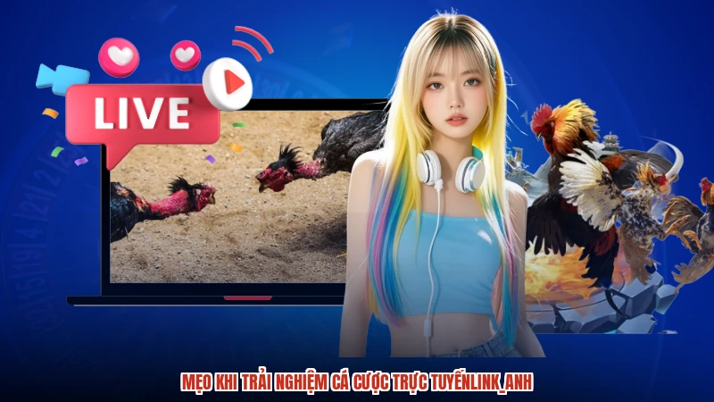 Mẹo khi trải nghiệm cá cược trực tuyếnlink_anh