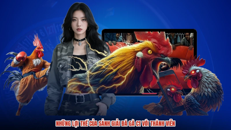 Những lợi thế của sảnh Giải đá gà C1 với thành viên