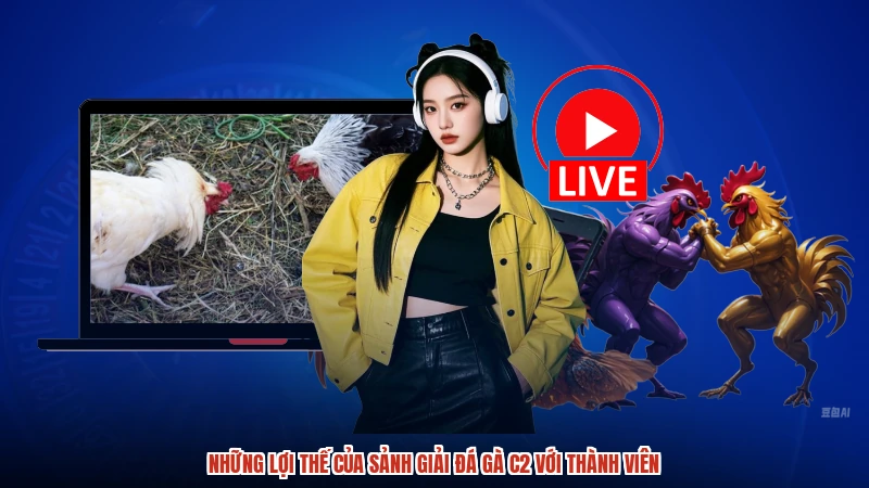 Những lợi thế của sảnh Giải đá gà C2 với thành viên