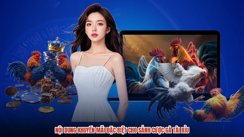Nội dung khuyến mãi đặc biệt cho sảnh cược gà TÀI XỈU
