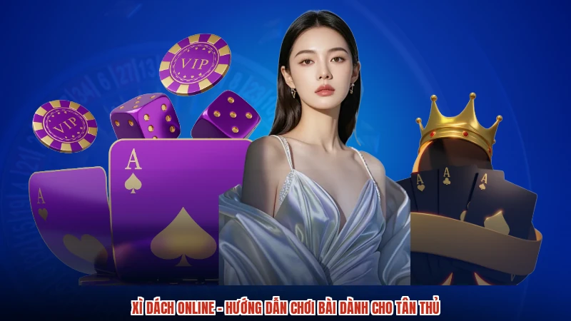 Xì Dách online - Hướng Dẫn Chơi Bài Dành Cho Tân Thủ