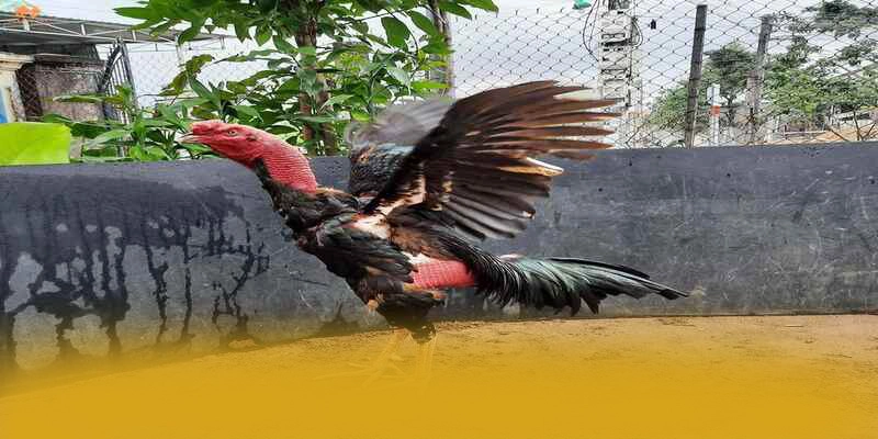 Lợi thế cạnh tranh của 8xbet trên thị trường